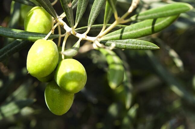 Ketojenik Diyette Zeytin Yemenin Faydaları
